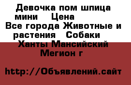 Девочка пом шпица мини  › Цена ­ 30 000 - Все города Животные и растения » Собаки   . Ханты-Мансийский,Мегион г.